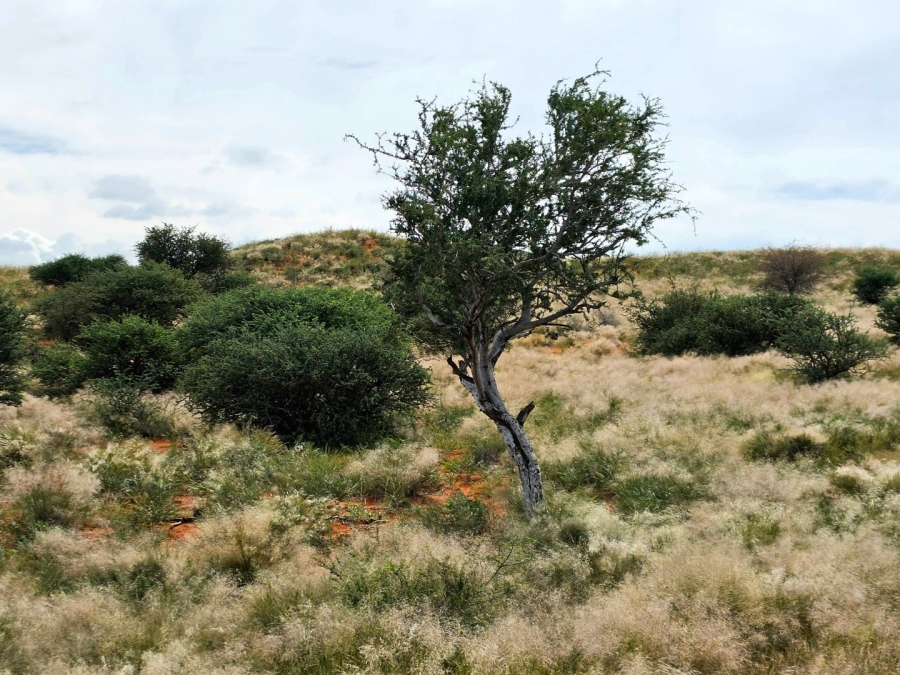 Commercial Property for Sale in Griekwastad Rural Northern Cape